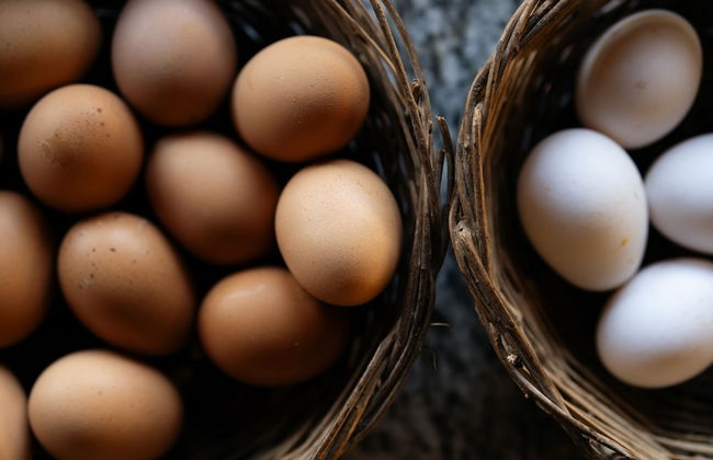 Nonno Luigino - Photo 45