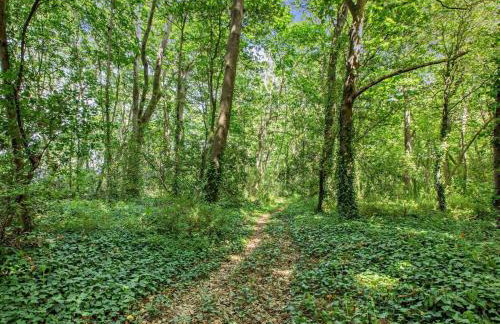 3 Bed in Taunton oc-96235 - Foto 27