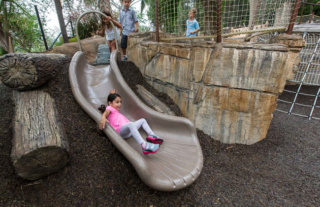 Billet pour le San Diego Zoo Safari Park - Photo 7