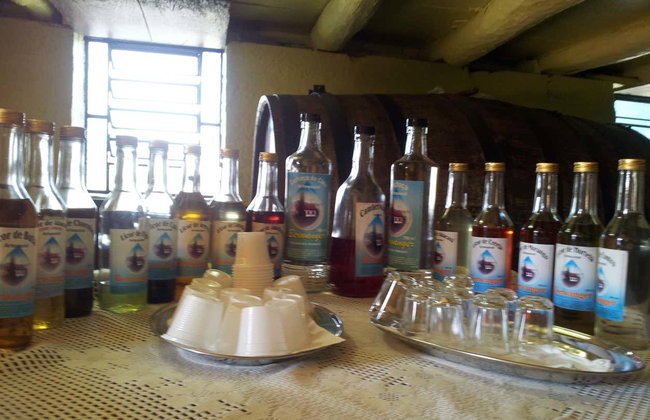 Escursione a Imigrante, Estrela e Colinas - Foto 6