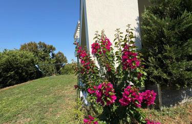 Apartment Villa Anima - Foto 24