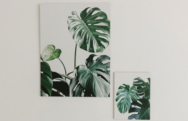 Residenza Excelsior 701 - Foto 7