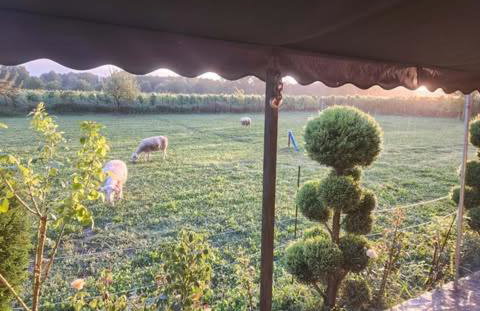 River side house - Foto 13