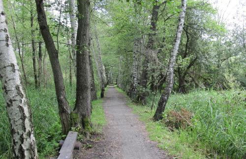 Spreewaldhaus zum Schoberplatz - Foto 15