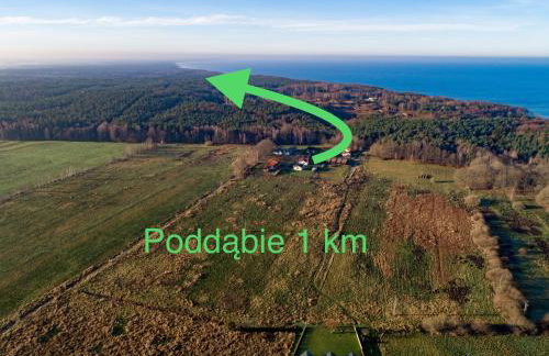 Amber House - Foto 30