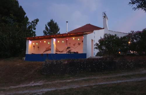 Baranca Stima - Foto 17