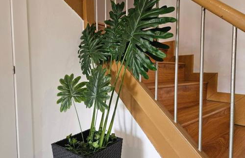 Espinaleo C21A01 by R2R Consulting - Foto 19