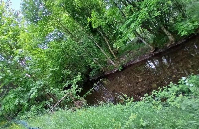 Chalet in St Maurice Near Ballon D'alsace - Foto 33