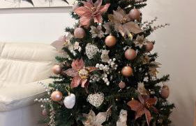 Coruja’s House AL OPO - Foto 19