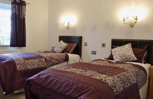 Maes Rheidol - Foto 10