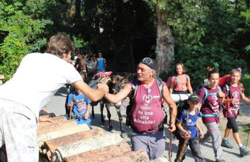 agriturismo il poderetto - Foto 69