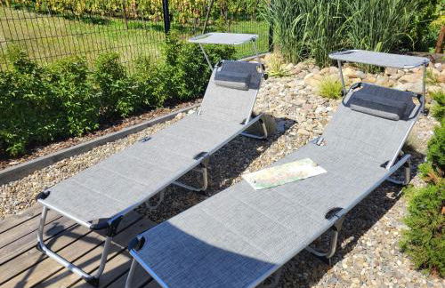 Au coeur de l'Alsace - Gîtes - Photo 56