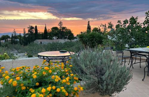 Pistachio House - Foto 1