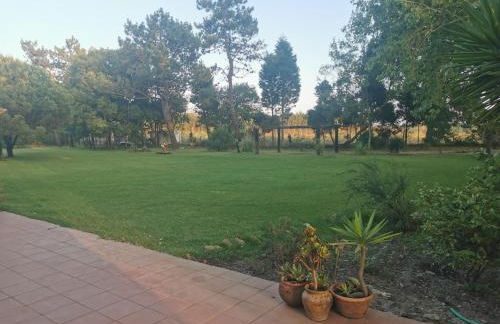 T0 da Casa da Quinta S José - Foto 21