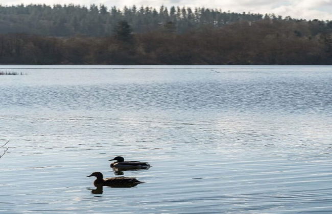 6 Person Holiday Home in Kolind - Photo 38