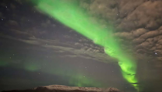 Northern Lights Cruise in Reykjavík - Photo 4, Admire the world's most spectacle natural wonder