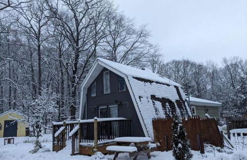 Plant House - Foto 23