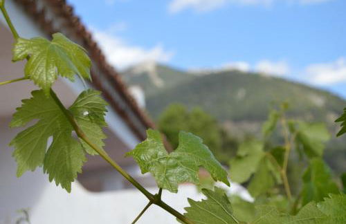 caballero y cozar - Foto 17