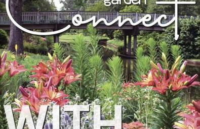 Home Near Downtown Norfolk - Foto 20