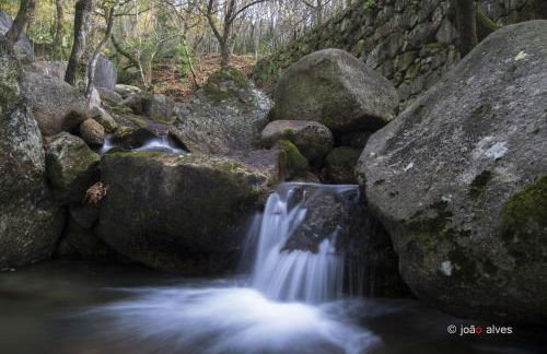 Quinta do Burgo - Nature Hotel - Foto 92