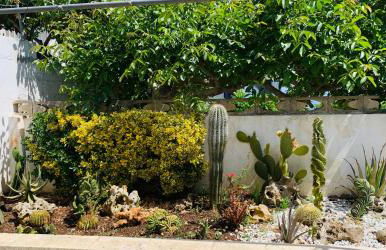 CASA AL MARE RIO b&n - Foto 38