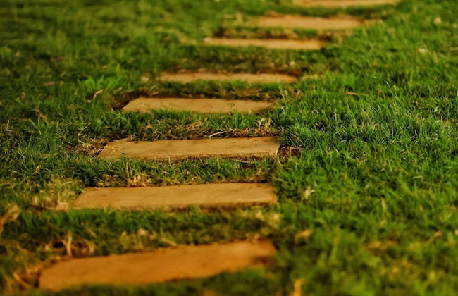 Songs of the Nilgiris - Foto 20