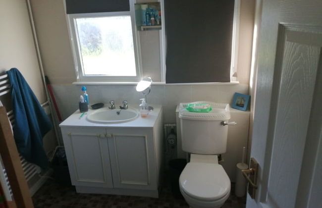 Dartmouth Holiday Chalets - Foto 18