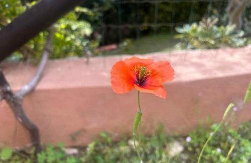 Villa Sole vista mare super panoramica - Foto 54