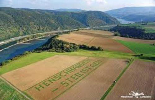 Exklusive Ferienwohnung Lurelei 150 qm mit Traumblick 4 bis 9 P - Photo 35