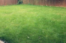 semi-detach - Foto 11