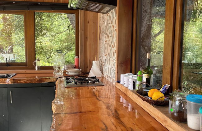 Rincon del Bosque - Foto 7