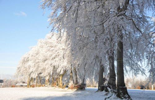 Eifellodge - Foto 26