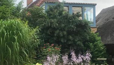 Hering FeWo II Apartment Balcony - Foto 5