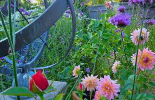 Freshwater Barn - Foto 15