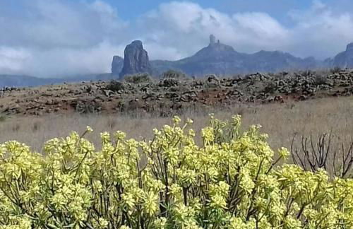 La Casita de Coco Tejeda - Foto 33