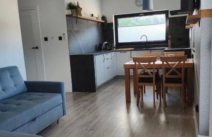 APART 558 Szczyrk SKI&BIKE premium apartamenty, basen, blisko wyciągów - Photo 12