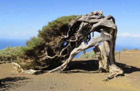 Casa Rural Amasín - Foto 13