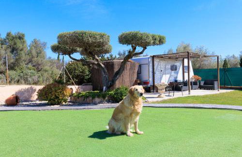 Hauzify I Mas Blau - Foto 22