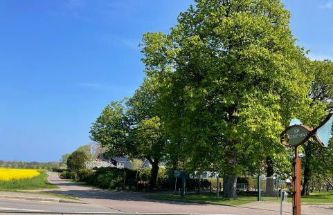 Reethaus Niedlich - Foto 20