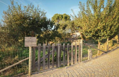 I Love Dão - Casas Da Fraga - Foto 66