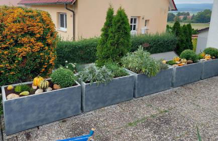 Ferienwohnung "Auszeit" - Foto 22