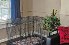 4 Minutes to Downtown by the Atlanta Beltline Trail in the Cabbagetown Neighborhood - Foto 30