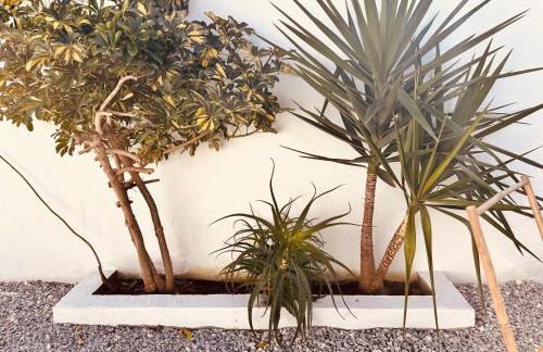 Refúgio do Frade - Foto 17