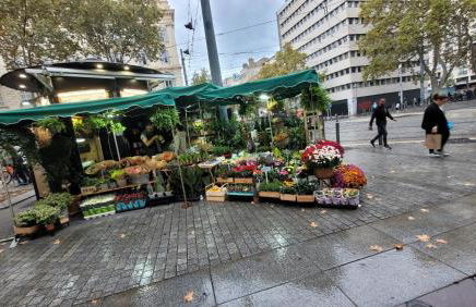 Le Coin des 3 Étoiles - Foto 67