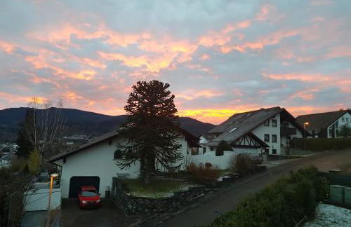 Schusters Murgtalblick - Foto 20