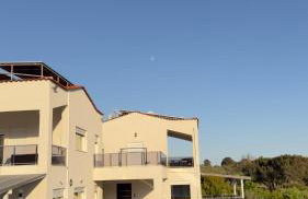Platan Paradise - Foto 4