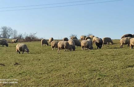 Apartament Jagodzianka Biały Dunajec - Foto 12