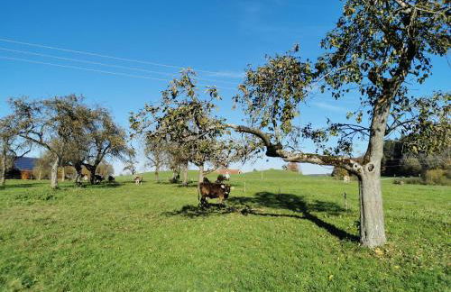 Ferienwohnung NEST - Foto 39