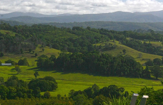 Byron Hinterland Villas - Photo 7