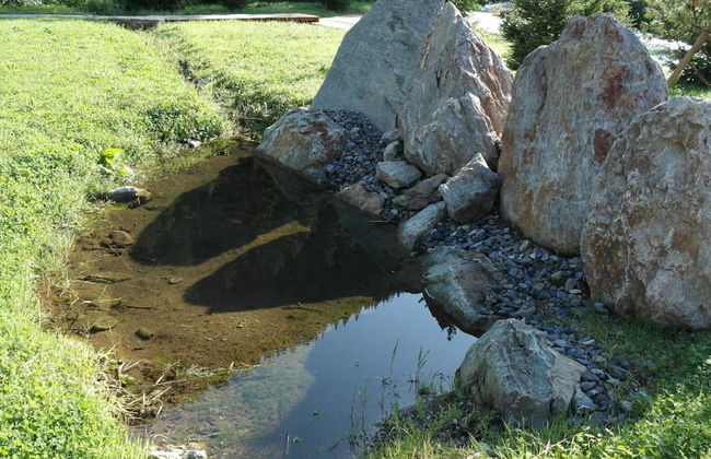 Cozy Holiday Home in Mauterndorf near Ski Area - Foto 17